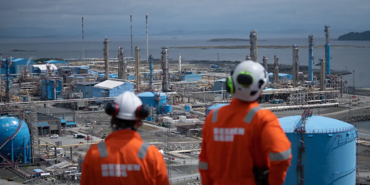 Beerenberg plant asset protection solution